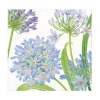 Agapanthus Garden Paper Luncheon Napkins - 20 Per Package