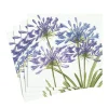 Agapanthus Paper Luncheon Napkins - 20 Per Package