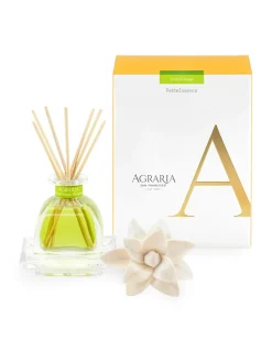 Agraria Petite Essence Diffuser in Lime & Orange - 1 Each