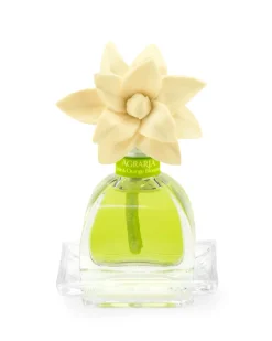 Agraria Petite Essence Diffuser in Lime & Orange - 1 Each