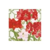 Amaryllis Conservatory Cocktail Napkins - includes 20 Cocktail Napkins
