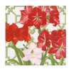 Amaryllis Conservatory Luncheon Napkins - includes 20 Luncheon Napkins