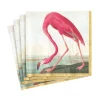 Audubon Birds Paper Cocktail Napkins - 20 Per Package