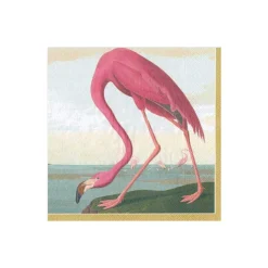 Audubon Birds Paper Cocktail Napkins - 20 Per Package