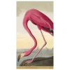 Audubon Birds Paper Guest Towel Napkins - 15 Per Package