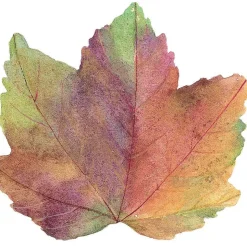 Autumn Leaf Die-Cut Placemat - 4 Each