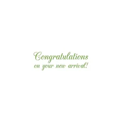 Baby - Set Of Six Greeting Cards And Envelopes