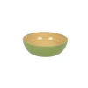 Bamboo Small Salad Bowl in Pastel Green - Set of 4