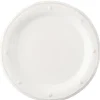 Berry & Thread Dinner Plate - Whitewash