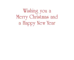 Berry Decorated Ornament Classic Embossed Boxed Christmas Cards - includes 10 cards & envelopes