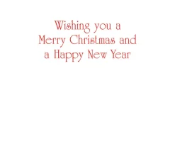 Berry Decorated Ornament Classic Embossed Boxed Christmas Cards - includes 10 cards & envelopes