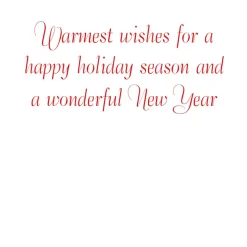 Birds And Berry Branches C-Sized Boxed Christmas Cards - 12 Cards & 13 Envelopes