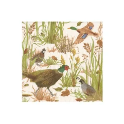 Birds Of A Feather Boxed Cocktail Napkins - 40 Per Box