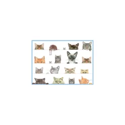 Birthday Party Animals - Set Of Six Greeting Cards And Envelopes