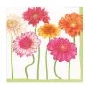 Blooming Daisy Luncheon Napkins - 20 Per Package