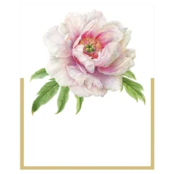 Blush Place Cards Die Cut Package 8 In