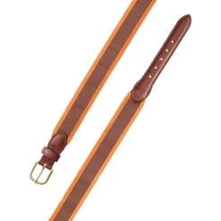 Brown & Orange Grosgrain Belt with Brown Leather