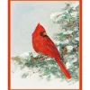 Cardinal And Evergreen Petite Boxed Christmas Cards - includes 15 cards & envelopes