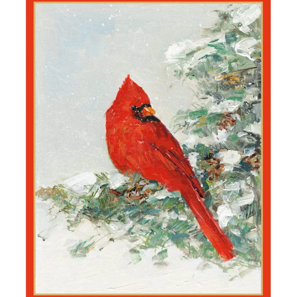 Cardinal And Evergreen Petite Boxed Christmas Cards - includes 15 cards & envelopes
