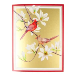 Cardinals And Magnolia Classic Boxed Christmas Cards - includes 15 cards & envelopes