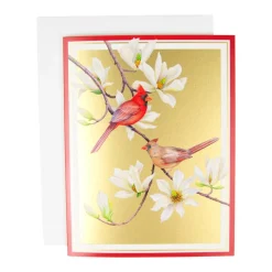 Cardinals And Magnolia Classic Boxed Christmas Cards - includes 15 cards & envelopes