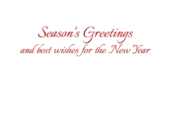 Cardinals And Magnolia Classic Boxed Christmas Cards - includes 15 cards & envelopes