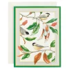 Chickadee And Magnolia Large Boxed Christmas Cards - includes 15 cards & envelopes