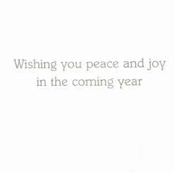 Chickadee And Magnolia Large Boxed Christmas Cards - includes 15 cards & envelopes