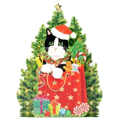Christmas Cat Advent Calendar - 1 Each