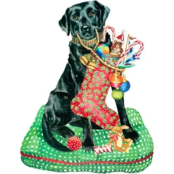 Christmas Lab Advent Calendar - 1 Each