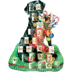 Christmas Lab Advent Calendar - 1 Each