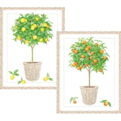 Citrus Topiaries Assorted Embossed Boxed Note Cards - 10 Note Cards & 10 Envelopes