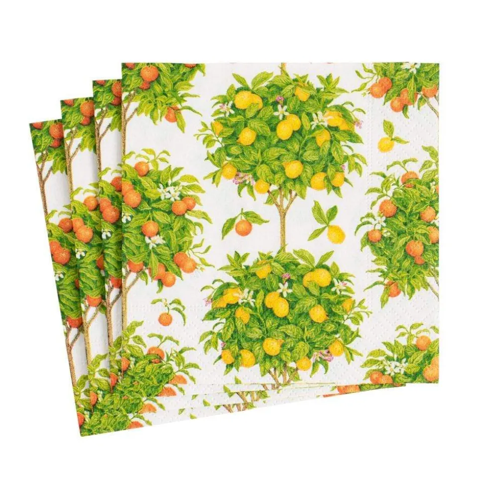 Citrus Topiaries Boxed Paper Cocktail Napkins in White - 40 Per Box
