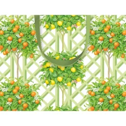 Citrus Topiaries Small Gift Bag in White - 1 Each