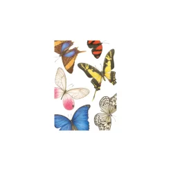 Classic Blanks - Set Of Six Greeting Cards And Envelopes