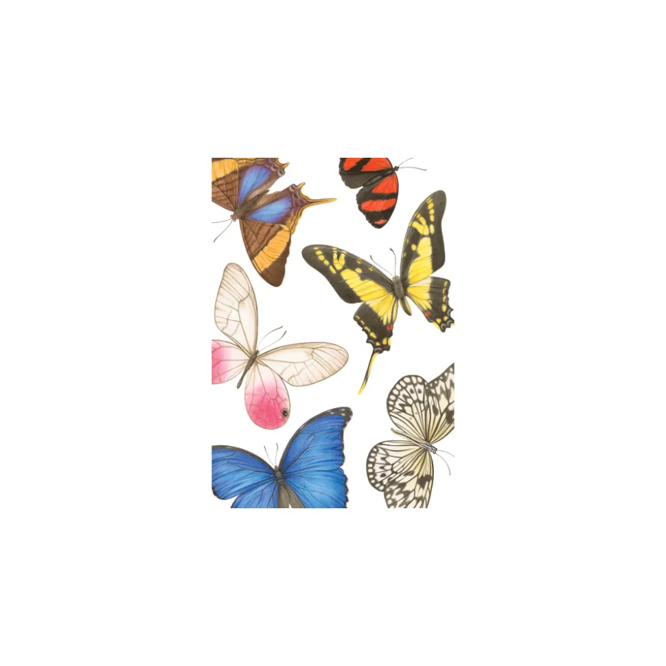 Classic Blanks - Set Of Six Greeting Cards And Envelopes