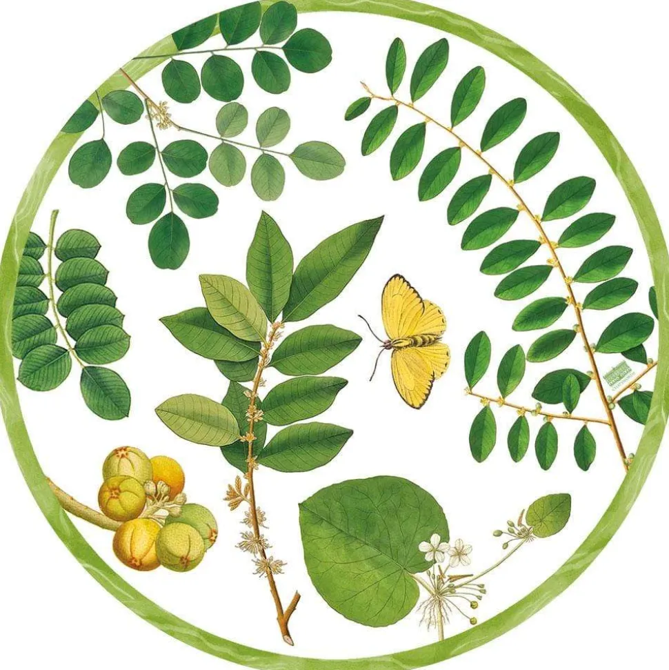 Coromandel Garden Die-Cut Placemat - 4 Per Package in Ivory