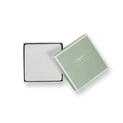 Cream Lizard Coasters - 8 Per Package