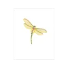 Dragonfly Gift Enclosure Cards - 4 Mini Cards & 4 Envelopes