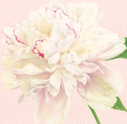 Duchess Peonies Blush Napkin Dinner