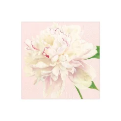 Duchess Peonies Paper Cocktail Napkins in Blush - 20 Per Package