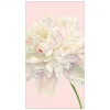 Duchess Peonies Paper Guest Towel Napkins in Blush - 15 Per Package