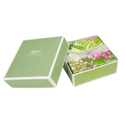 Fern Garden Boxed Cocktail Napkins - 40 Per Box