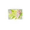 Fern Garden Boxed Note Cards - 8 Cards and 8 Envelopes per Package