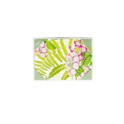 Fern Garden Boxed Note Cards - 8 Cards and 8 Envelopes per Package