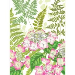 Fern Garden Boxed Note Cards - 8 Cards and 8 Envelopes per Package