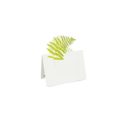 Fern Garden Place Cards - 8 Per Package