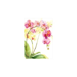 Floral Blank - Set Of Six Greeting Cards And Envelopes