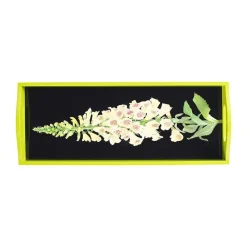 Foxglove Lacquer Bar Tray in Yellow & Black - 1 Each