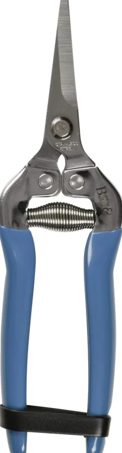 Fruit and Flower Garden Snip in British Meadow - 1 Each